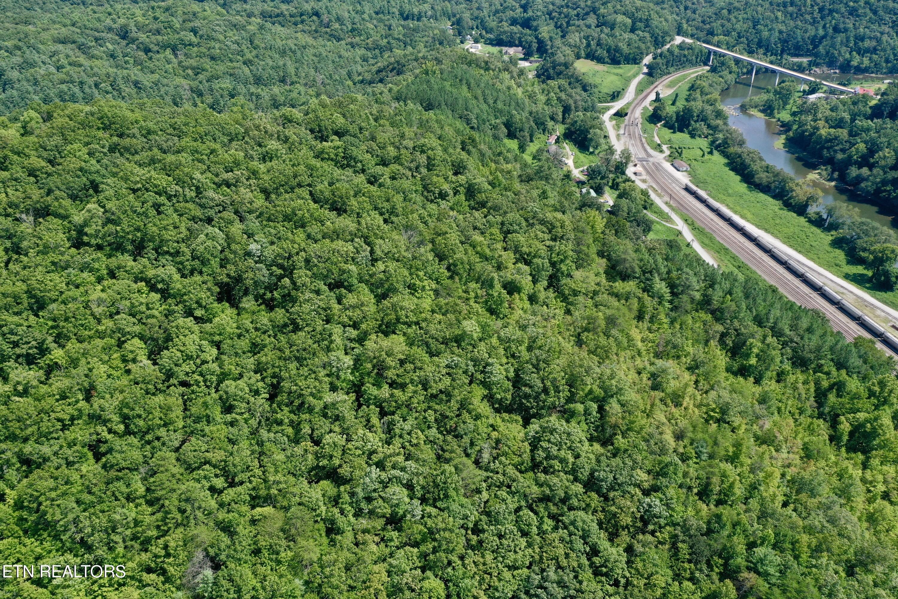Reynolds Road Oakdale, TN 37829 - Photo 28 of 36 DJI_0544