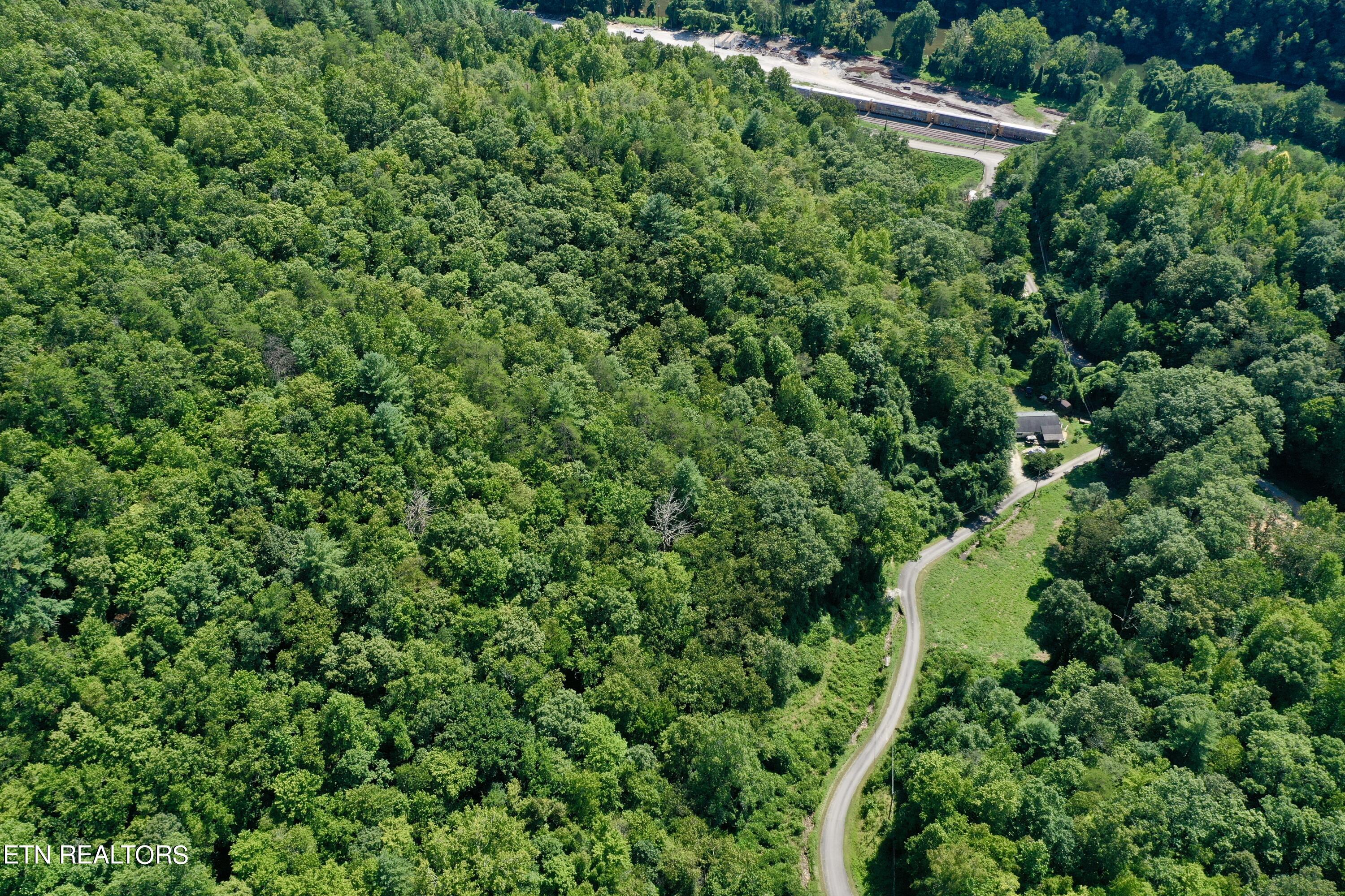 Reynolds Road Oakdale, TN 37829 - Photo 29 of 36 DJI_0546