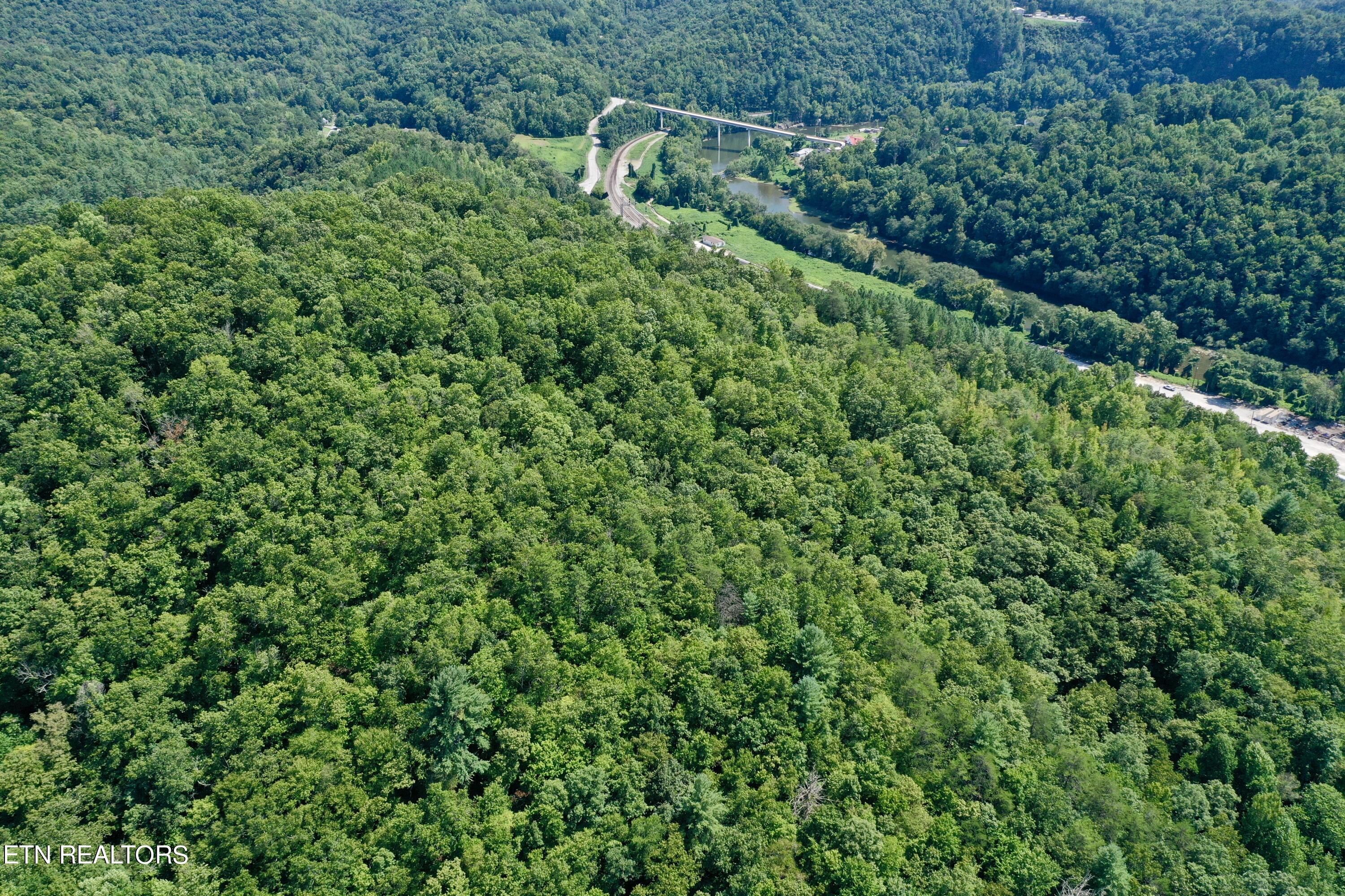 Reynolds Road Oakdale, TN 37829 - Photo 3 of 36 3