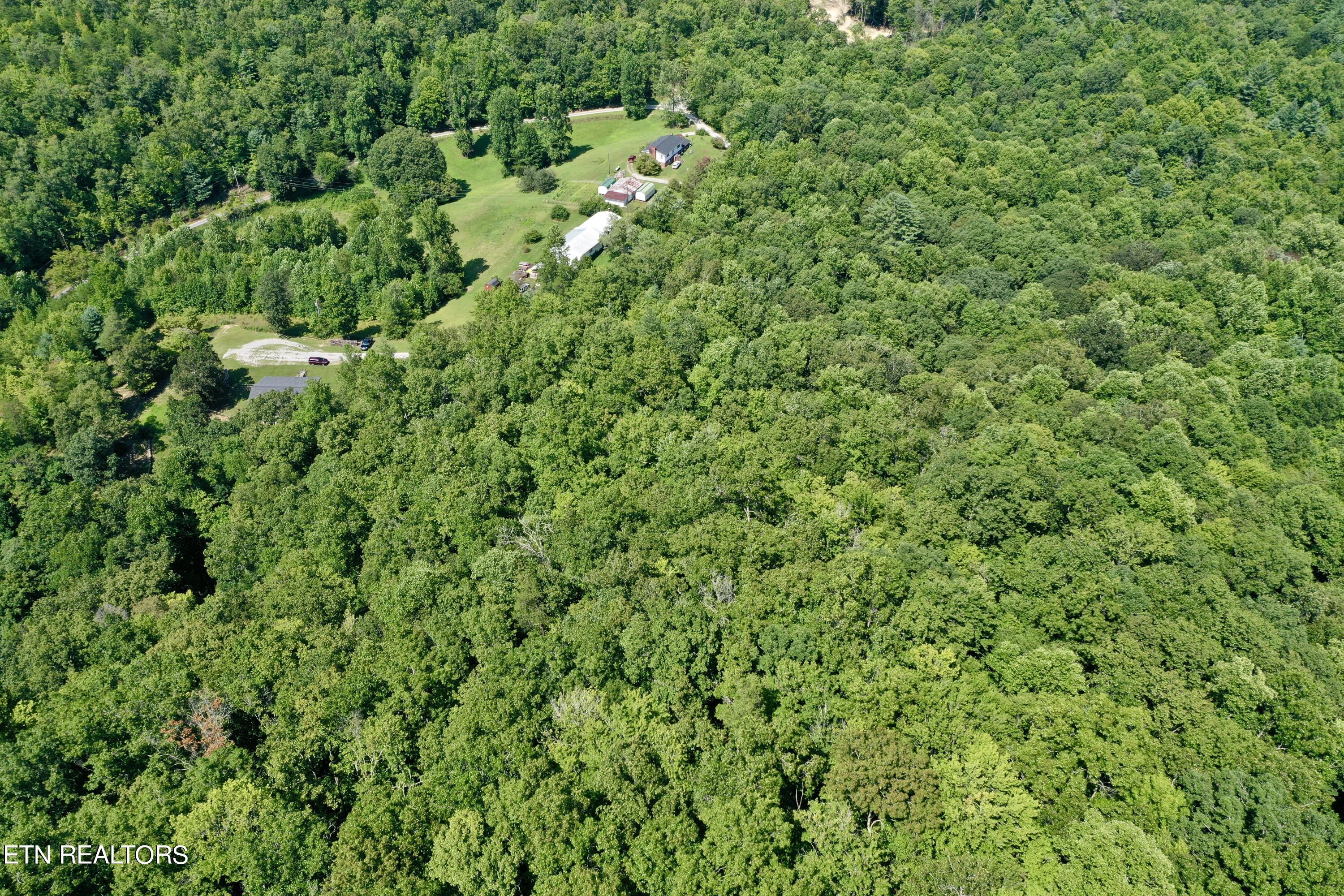 Reynolds Road Oakdale, TN 37829 - Photo 31 of 36 DJI_0552