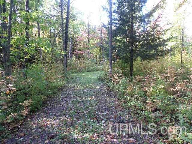 7333 West Harding Road Bessemer, MI 49911 - Photo 2 of 25 Gallery Image 2