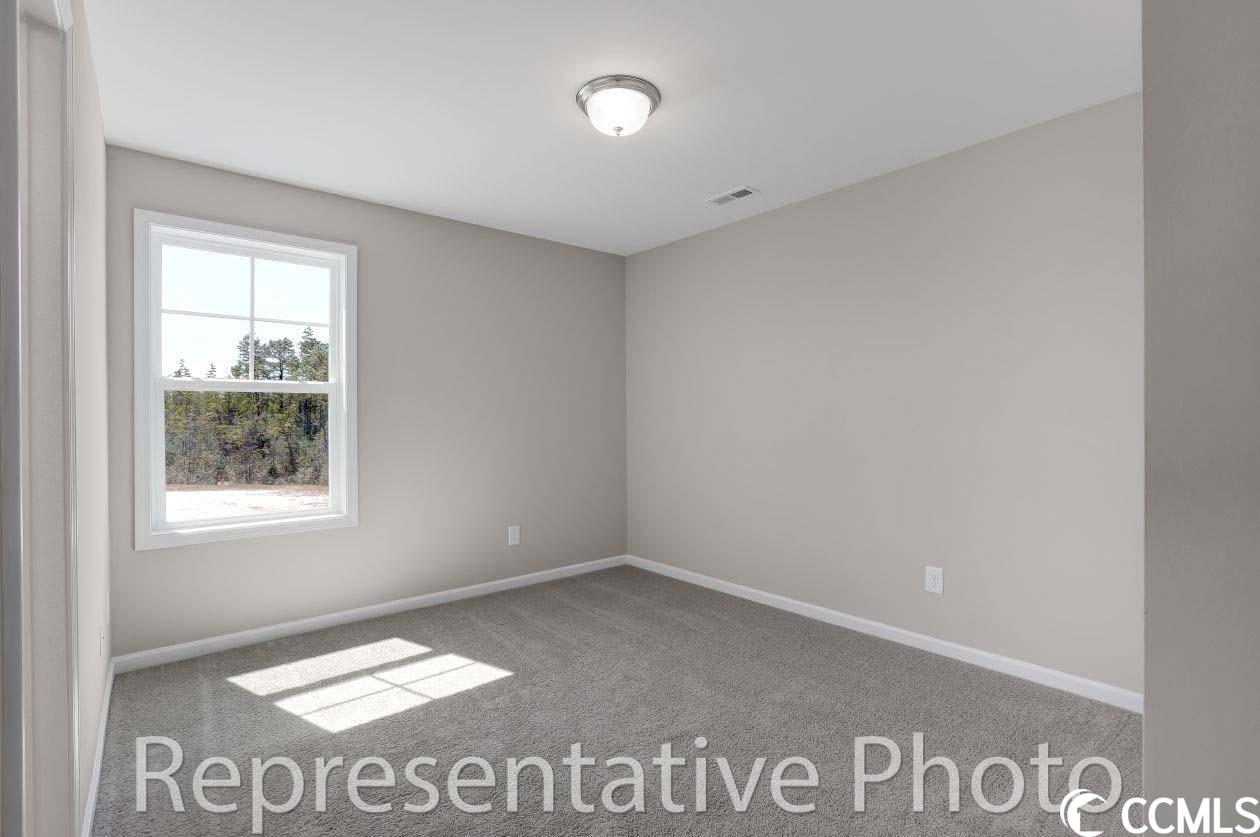 2425 Capri Court Conway, SC 29527 - Photo 14 of 22