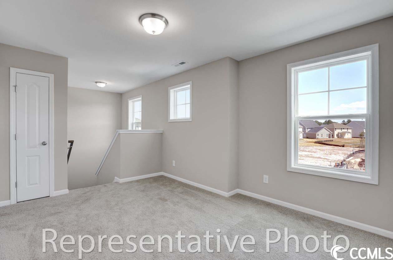 2425 Capri Court Conway, SC 29527 - Photo 20 of 22
