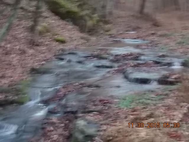 671 Tucker Road Lafayette, TN 37083 - Photo 18 of 20 a view of a dry field