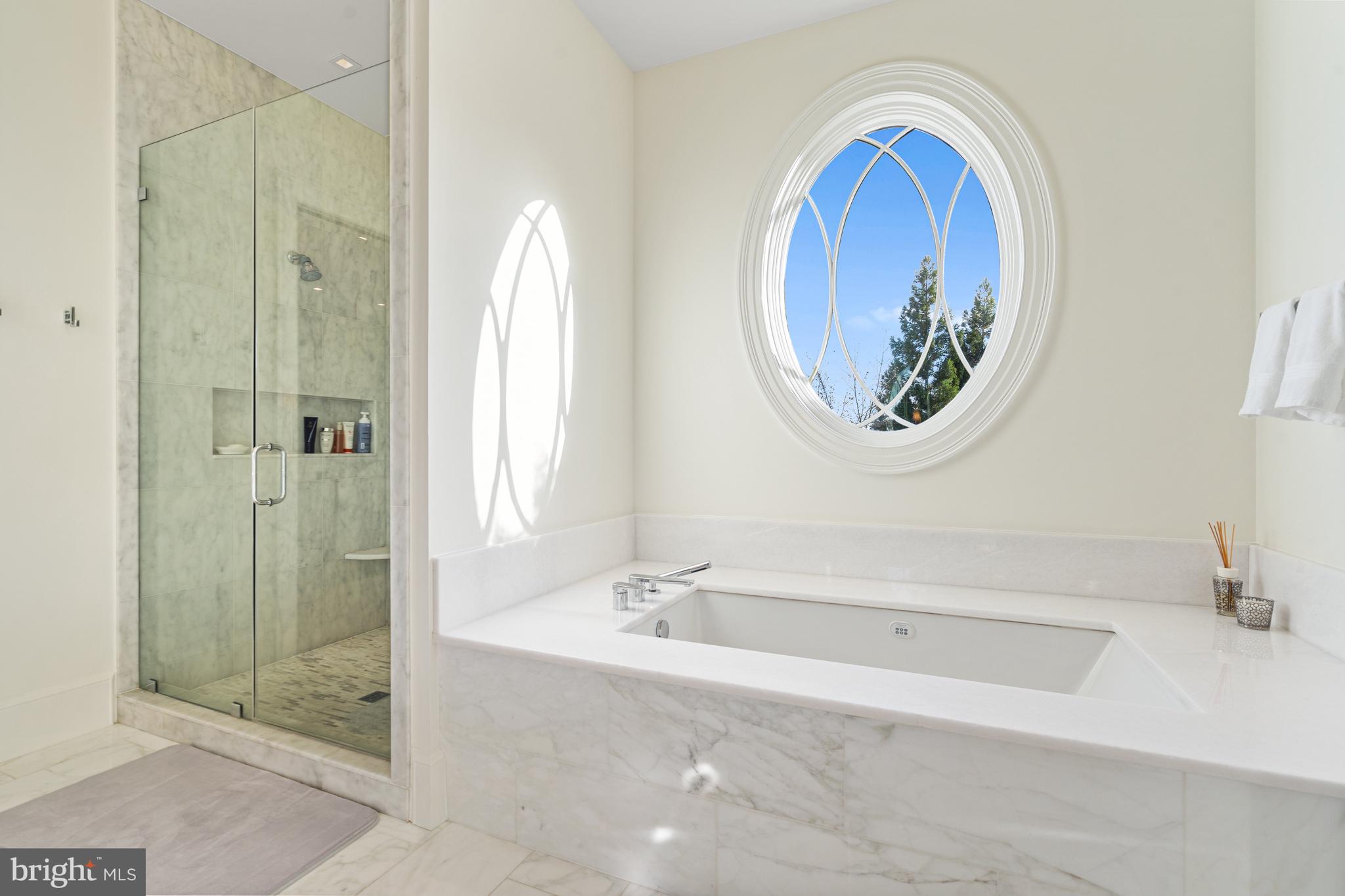 2109 Dunmore Lane Washington, DC 20007 - Photo 47 of 78 Spa tub and frameless glass shower