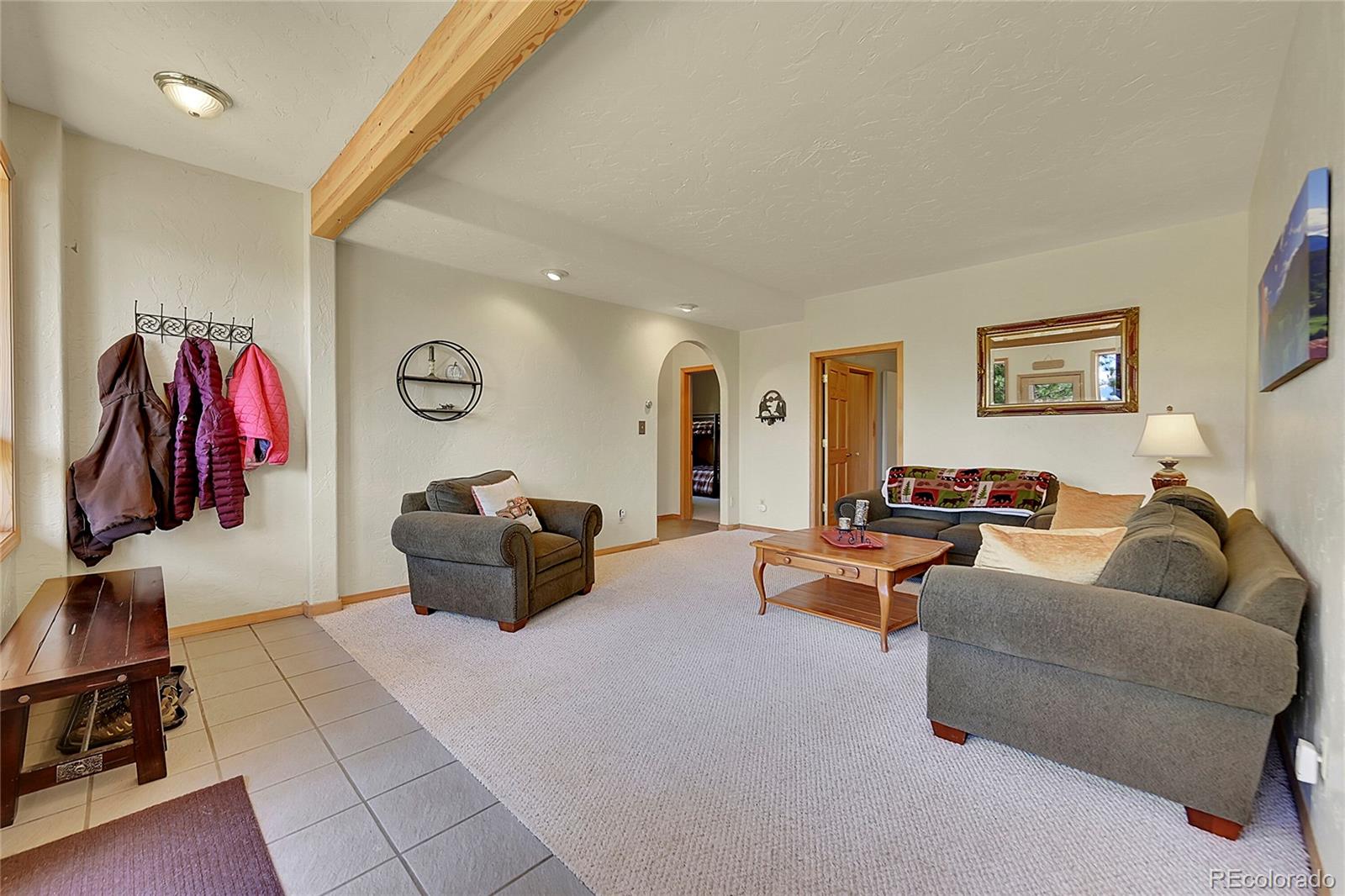 1392 Tapadero Road Bailey, CO 80421 - Photo 23 of 50 a living room with furniture and a walk in closet
