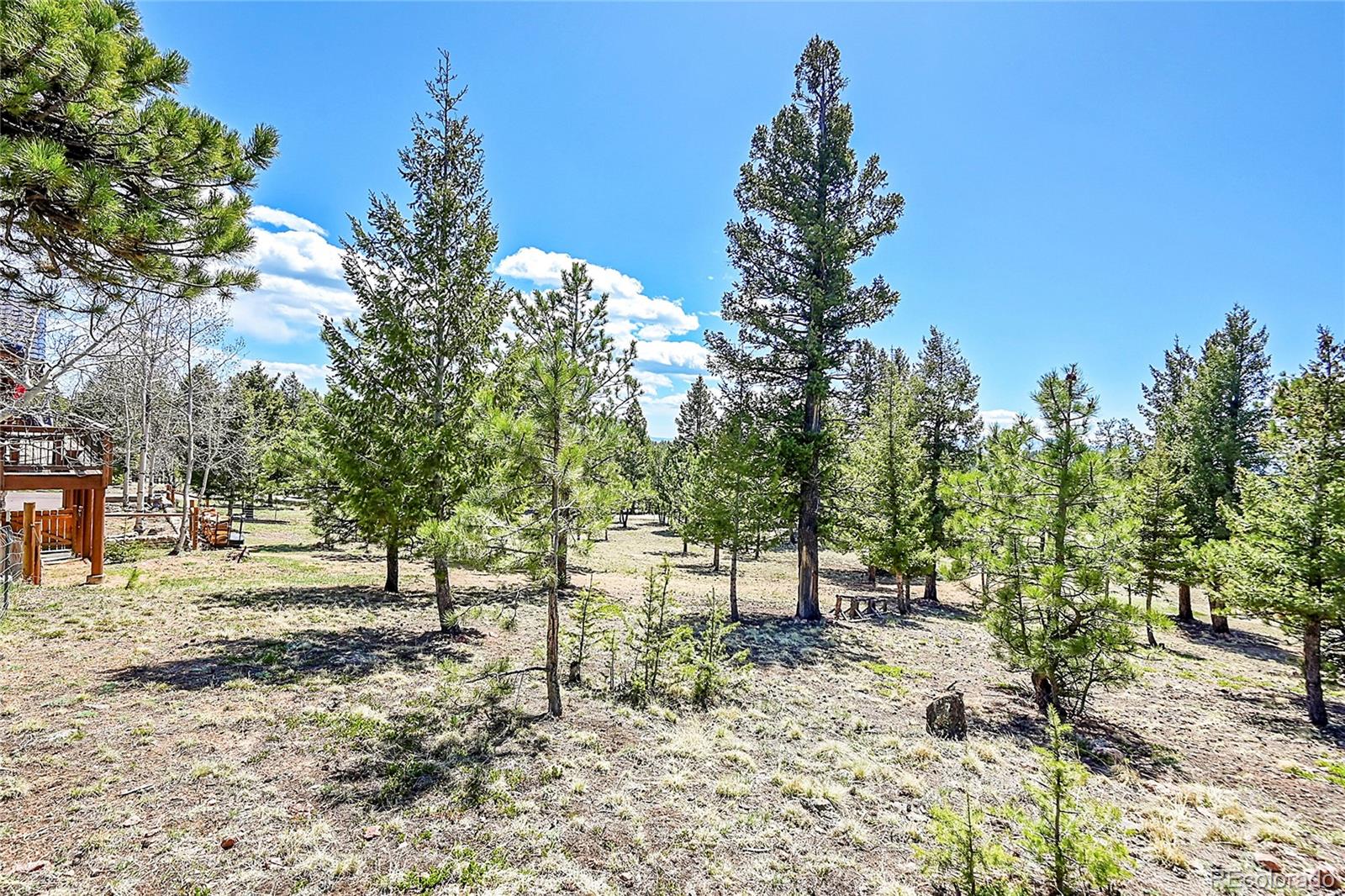 1392 Tapadero Road Bailey, CO 80421 - Photo 33 of 50 a view of outdoor space with trees