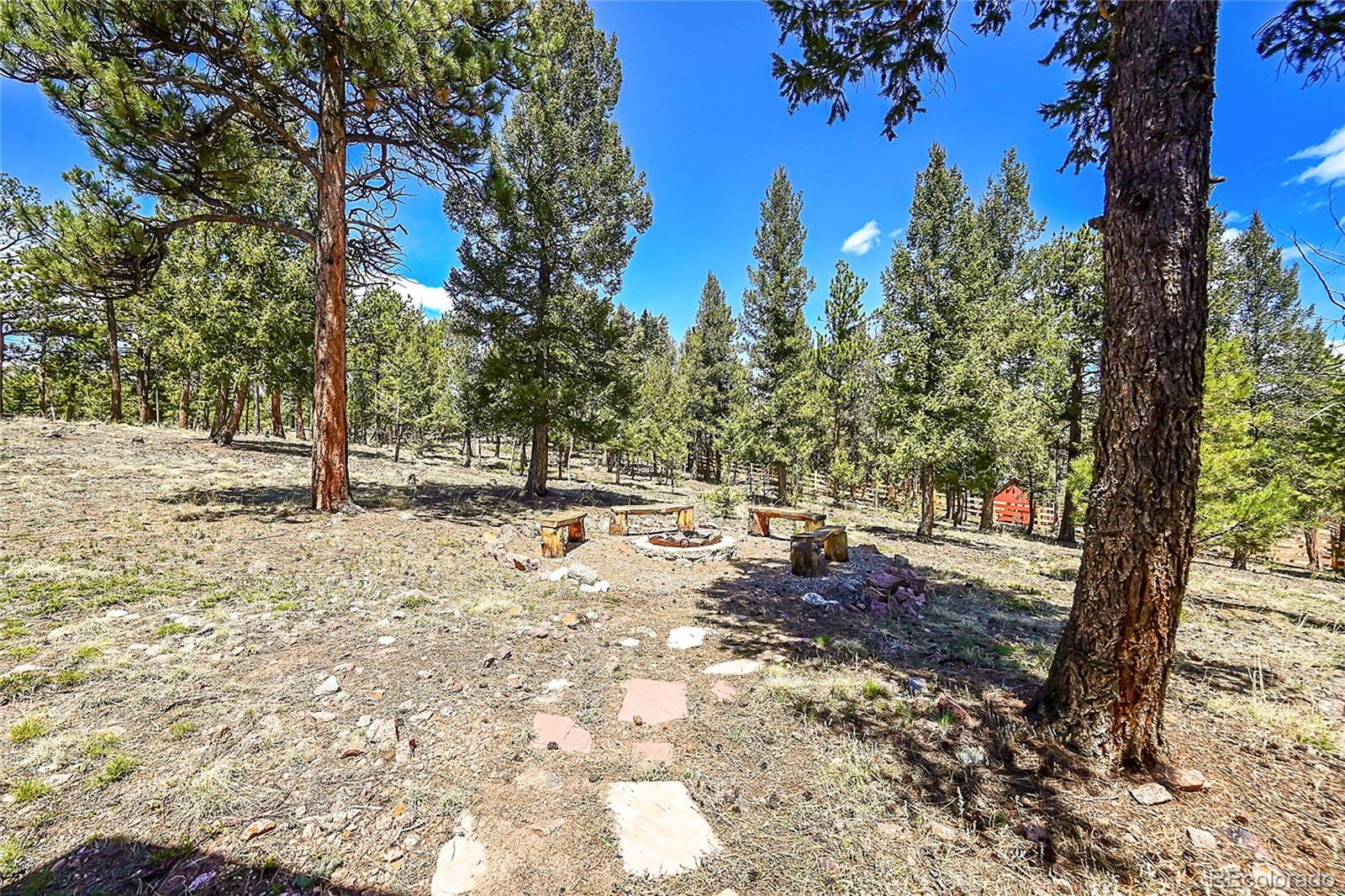 1392 Tapadero Road Bailey, CO 80421 - Photo 34 of 50 a view of outdoor space with trees