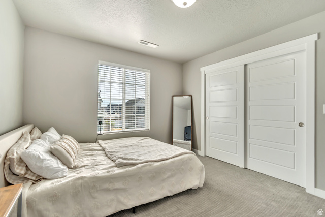 3232 West 1670th Street North Provo, UT 84601 - Photo 24 of 33 Bedroom with carpet floors, a textured ceiling, and a closet