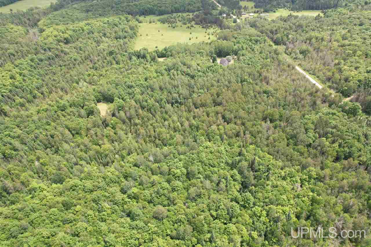 E4084 Paulsen Road Chatham, MI 49816 - Photo 70 of 78 Gallery Image 70