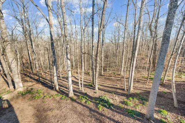 $479,000 | 302 Molly Stark Trail, Lynchburg, VA 24503