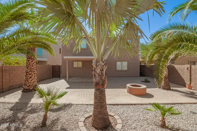 a view of a yard with plants and a trees