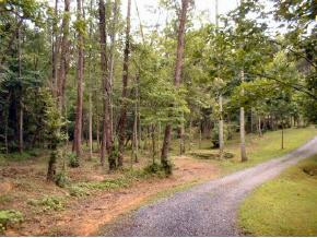 484 Summit Hill Road Bulls Gap, TN 37711 - Photo 2 of 8 Photo 2
