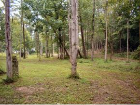 484 Summit Hill Road Bulls Gap, TN 37711 - Photo 4 of 8 Photo 4