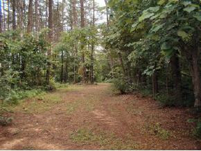 484 Summit Hill Road Bulls Gap, TN 37711 - Photo 6 of 8 Photo 6