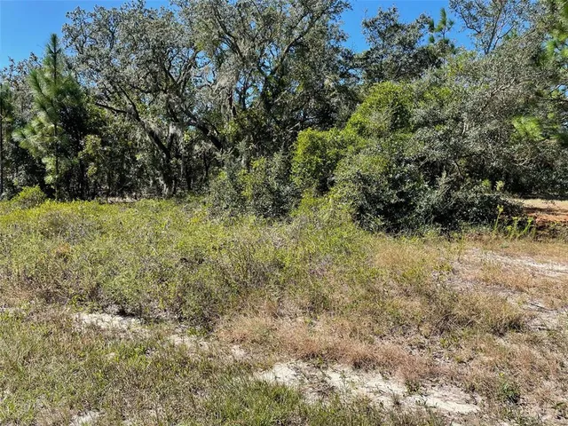 $25,975 | 2 Southwest Winding Hills Road, Dunnellon, FL 34431