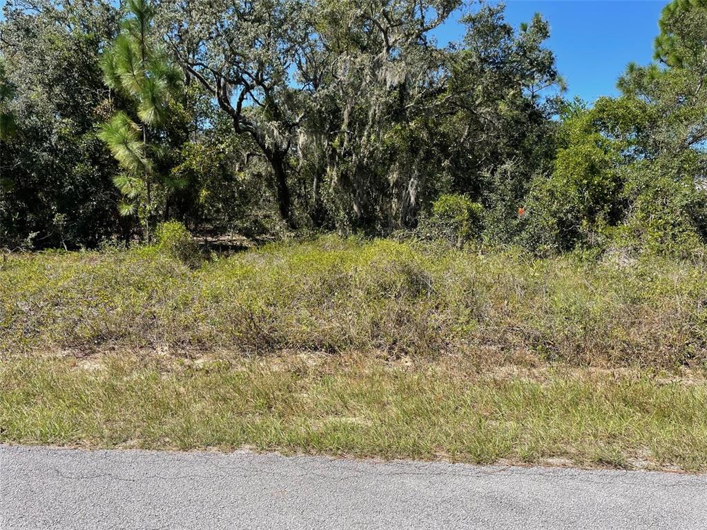 2 Southwest Winding Hills Road Dunnellon, FL 34431 - Photo 2 of 12