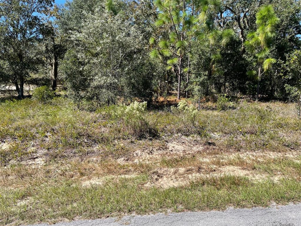 2 Southwest Winding Hills Road Dunnellon, FL 34431 - Photo 4 of 12