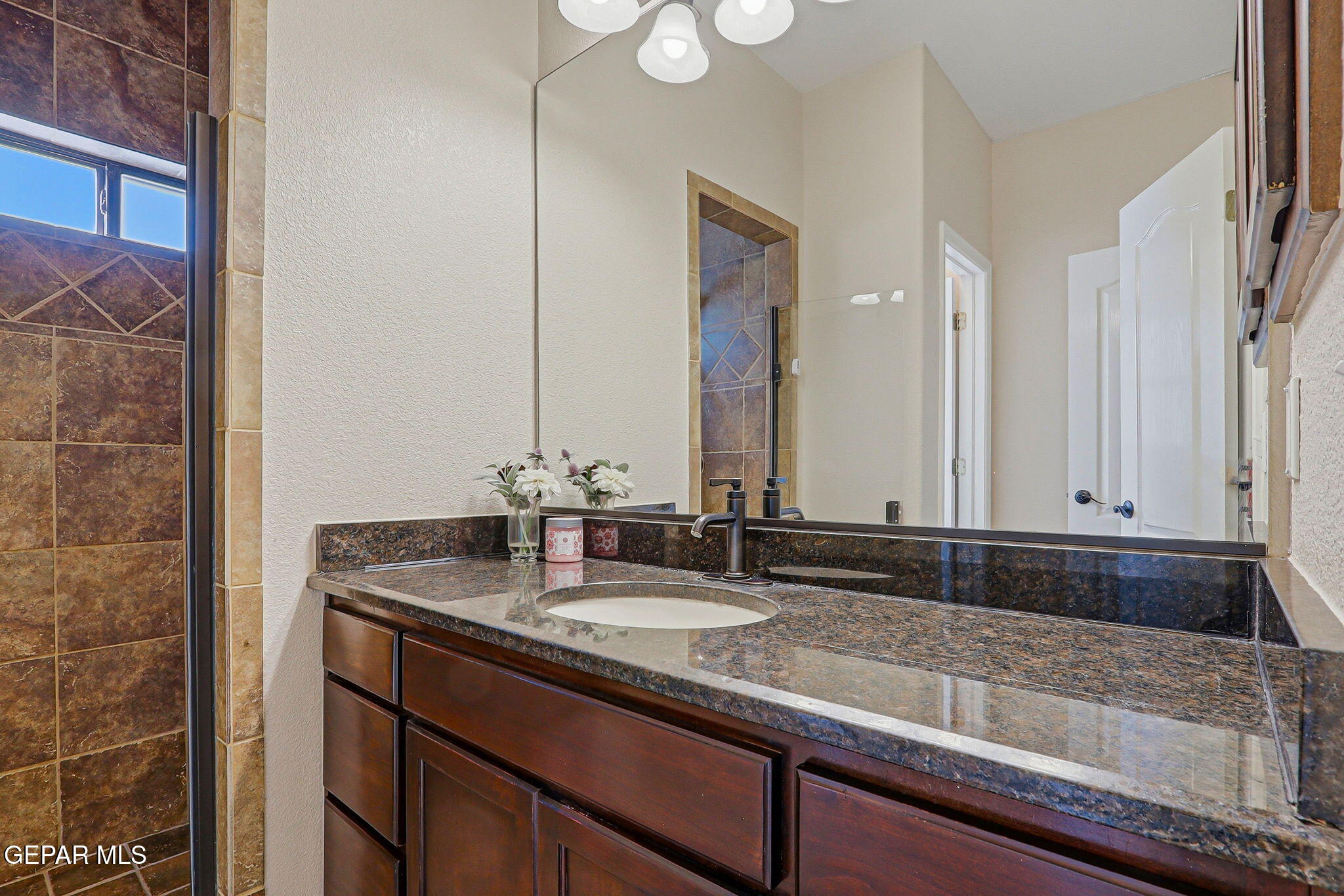 617 Wallace Road Anthony, NM 88021 - Photo 32 of 65 31-web-or-mls-IMG_8955