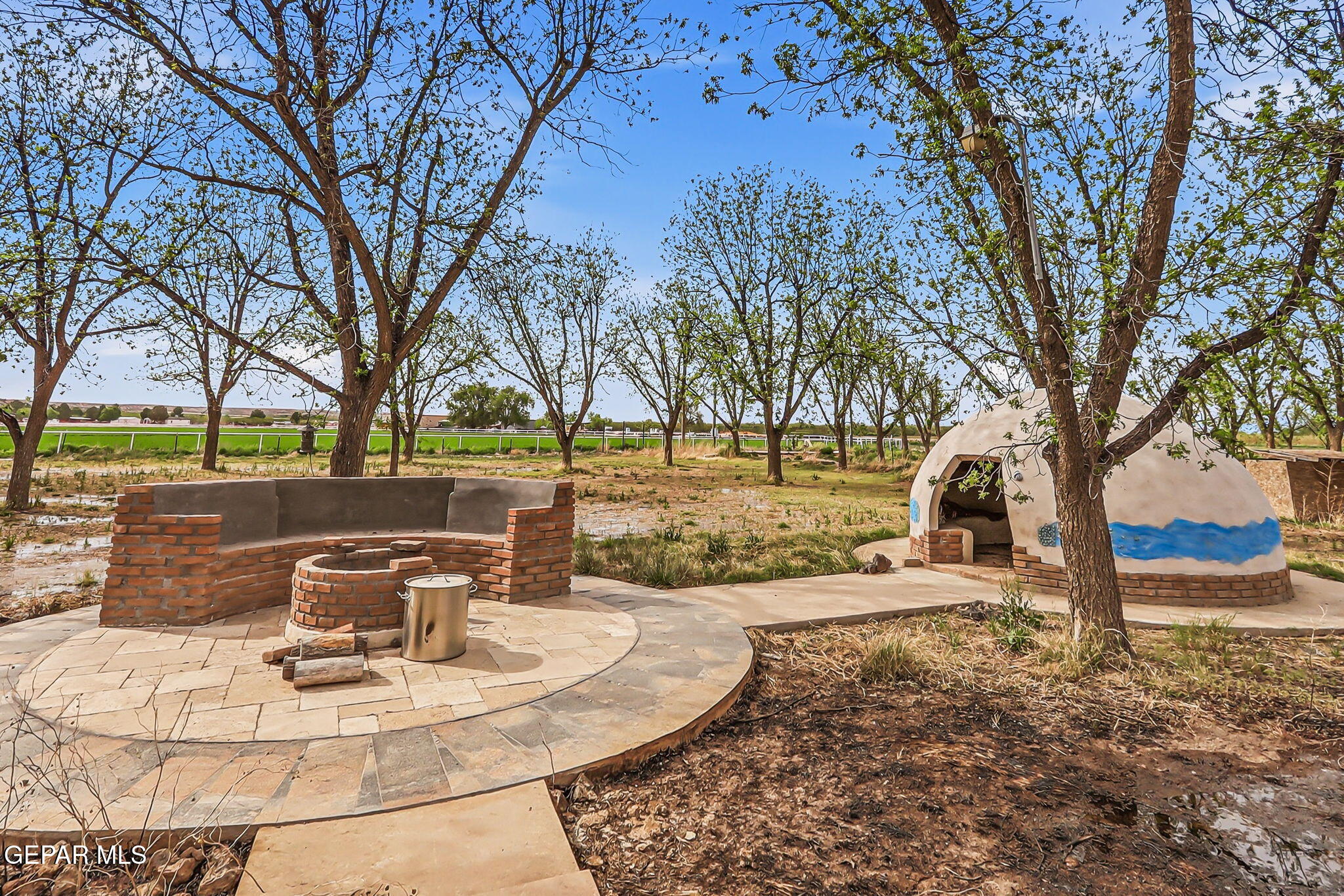 617 Wallace Road Anthony, NM 88021 - Photo 42 of 65 a view of a park with tree s