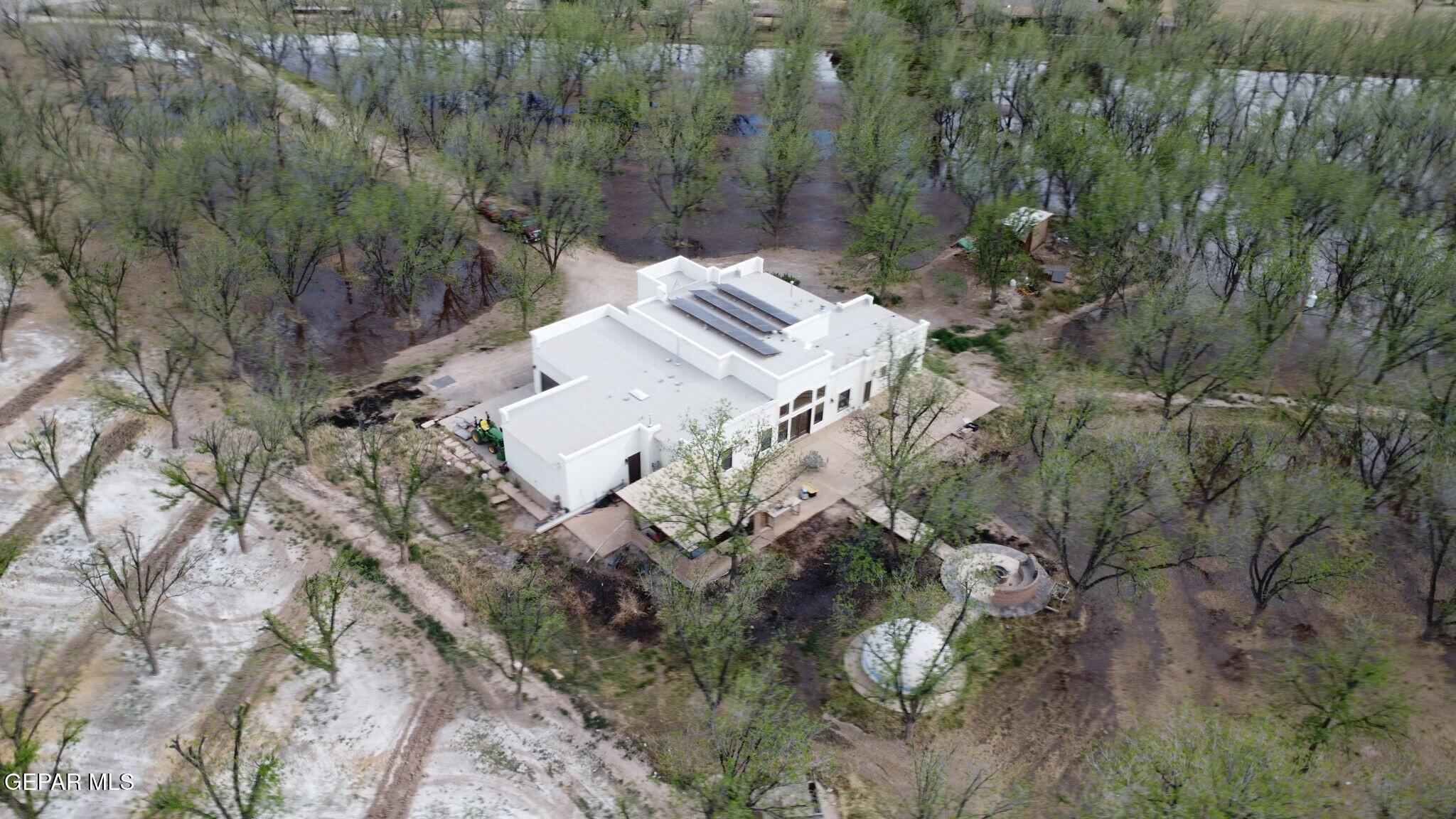617 Wallace Road Anthony, NM 88021 - Photo 63 of 65 a view of a yard in a forest
