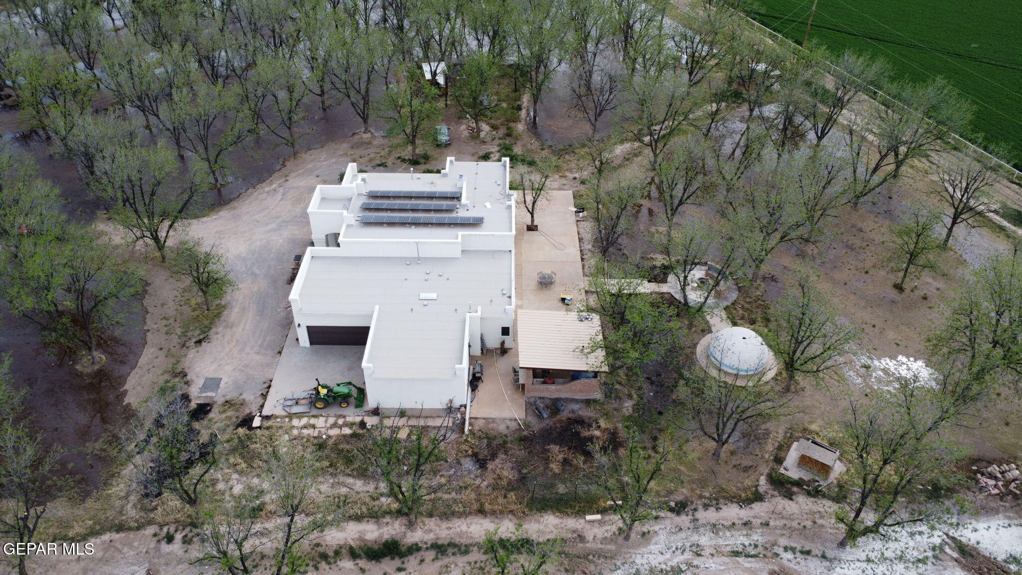 617 Wallace Road Anthony, NM 88021 - Photo 64 of 65 a view of a yard with plants and trees