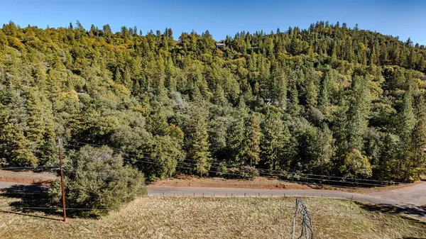 a view of a dry yard with a tree
