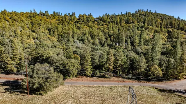 a view of a dry yard with a tree