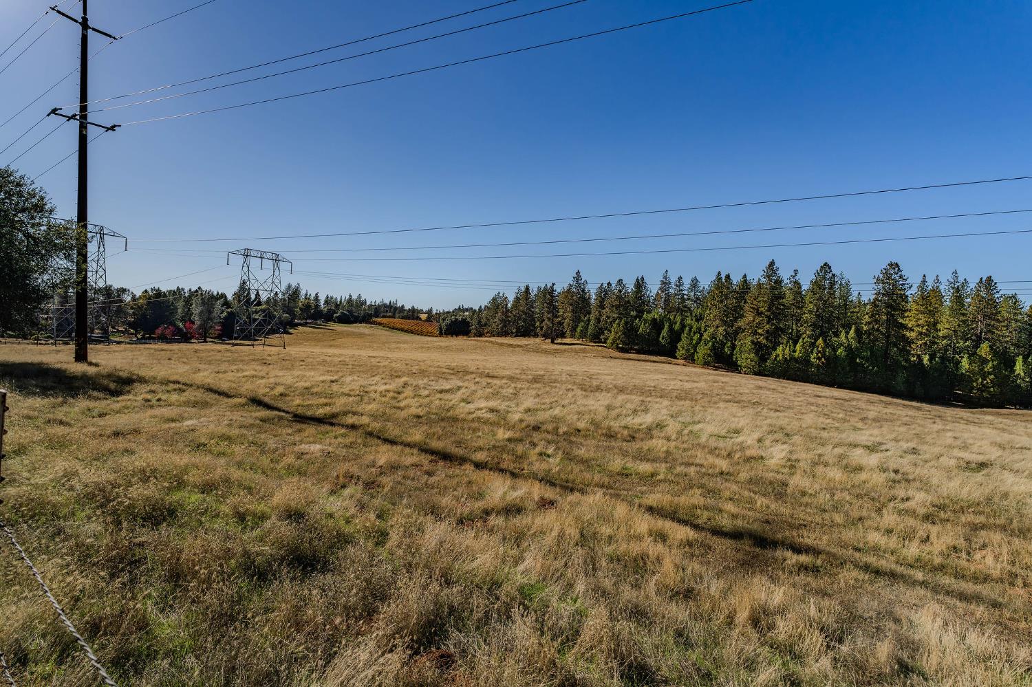10500 Tabeaud Road Pine Grove, CA 95665 - Photo 11 of 30 a view of a dry yard