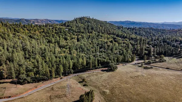 a view of a bunch of trees