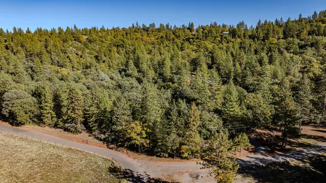 a view of a pathway with a bench