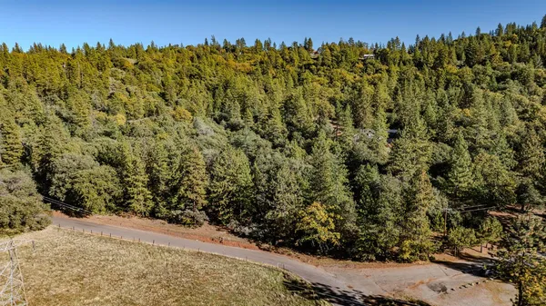 a view of a bench in the backyard