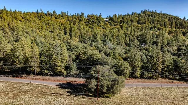 a view of a yard with an outdoor space