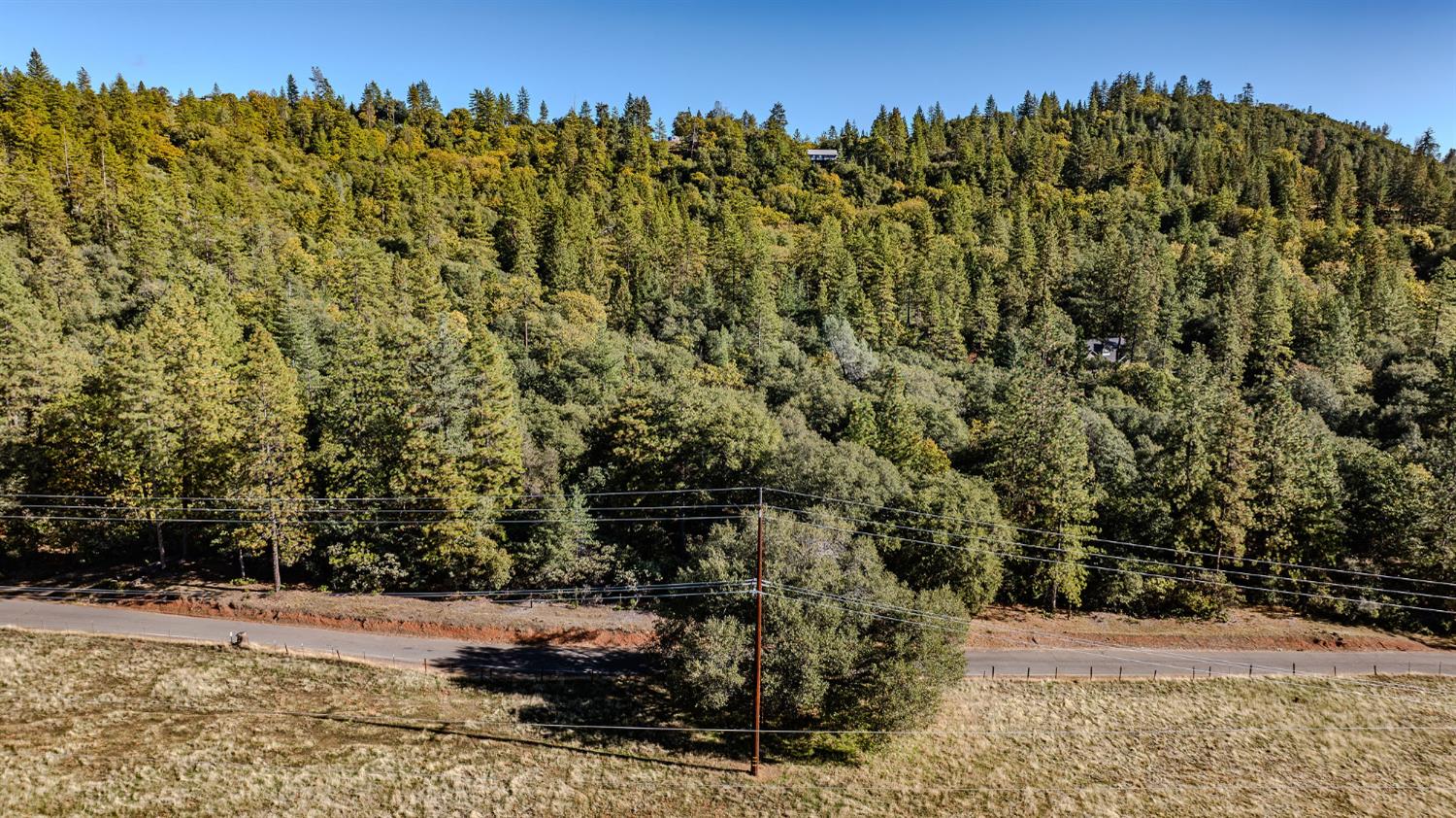 10500 Tabeaud Road Pine Grove, CA 95665 - Photo 22 of 30 a view of a large yard
