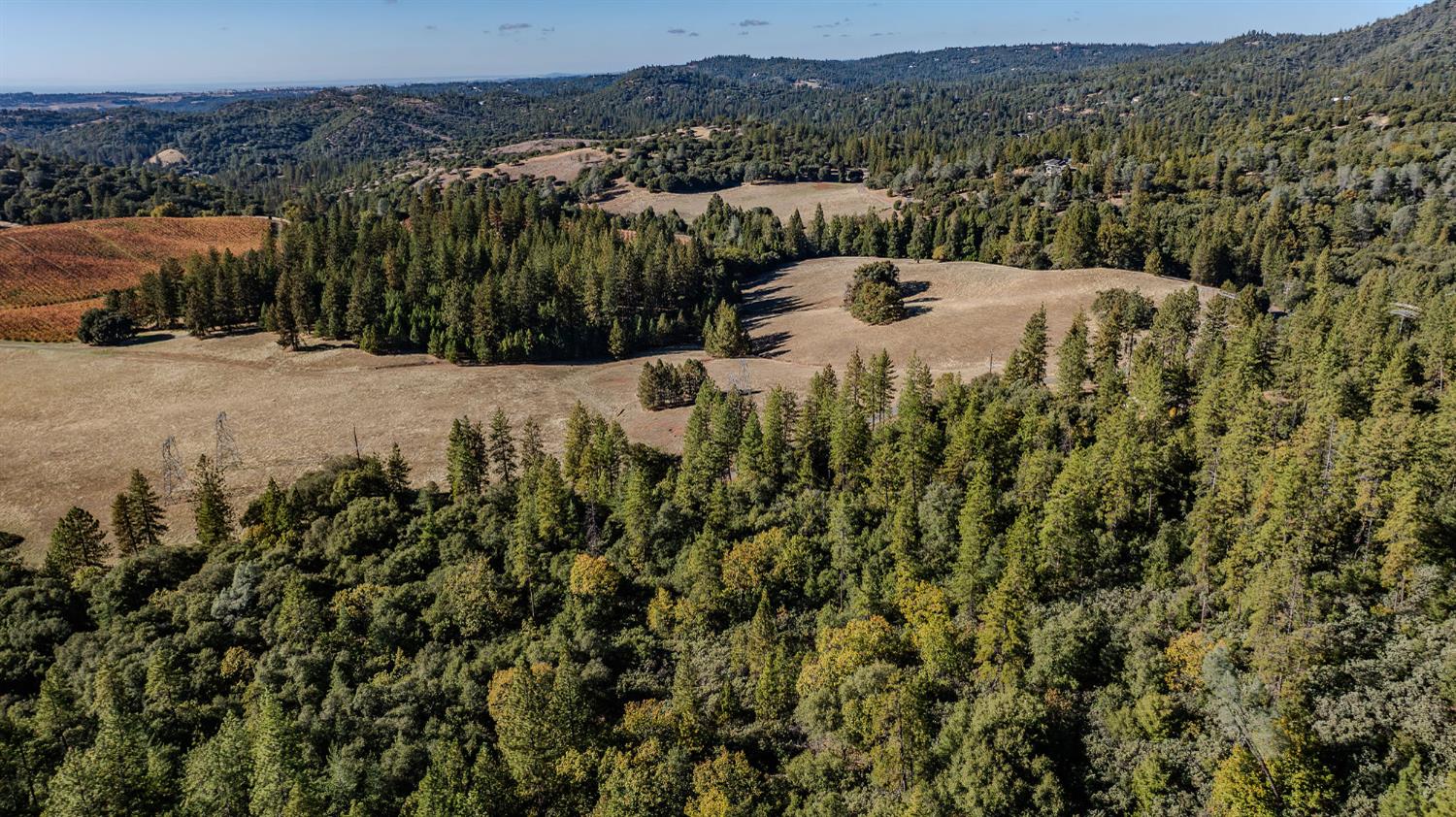 10500 Tabeaud Road Pine Grove, CA 95665 - Photo 27 of 30 a view of outdoor space and city view
