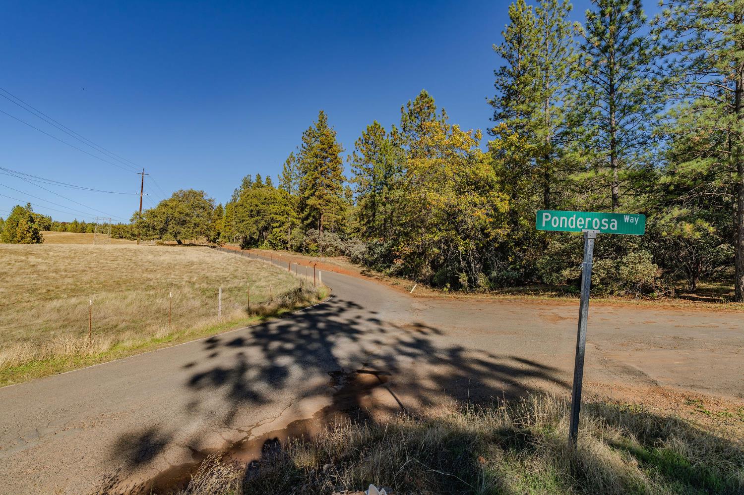 10500 Tabeaud Road Pine Grove, CA 95665 - Photo 4 of 30 a view of a road with a yard