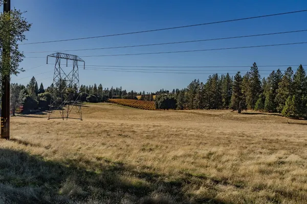 a wooden bench with view of trees