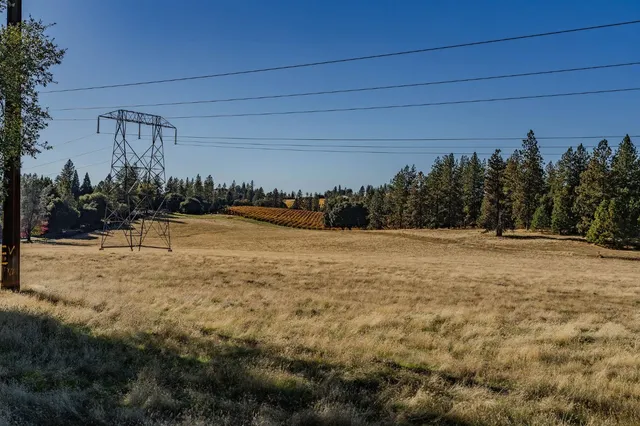 a wooden bench with view of trees