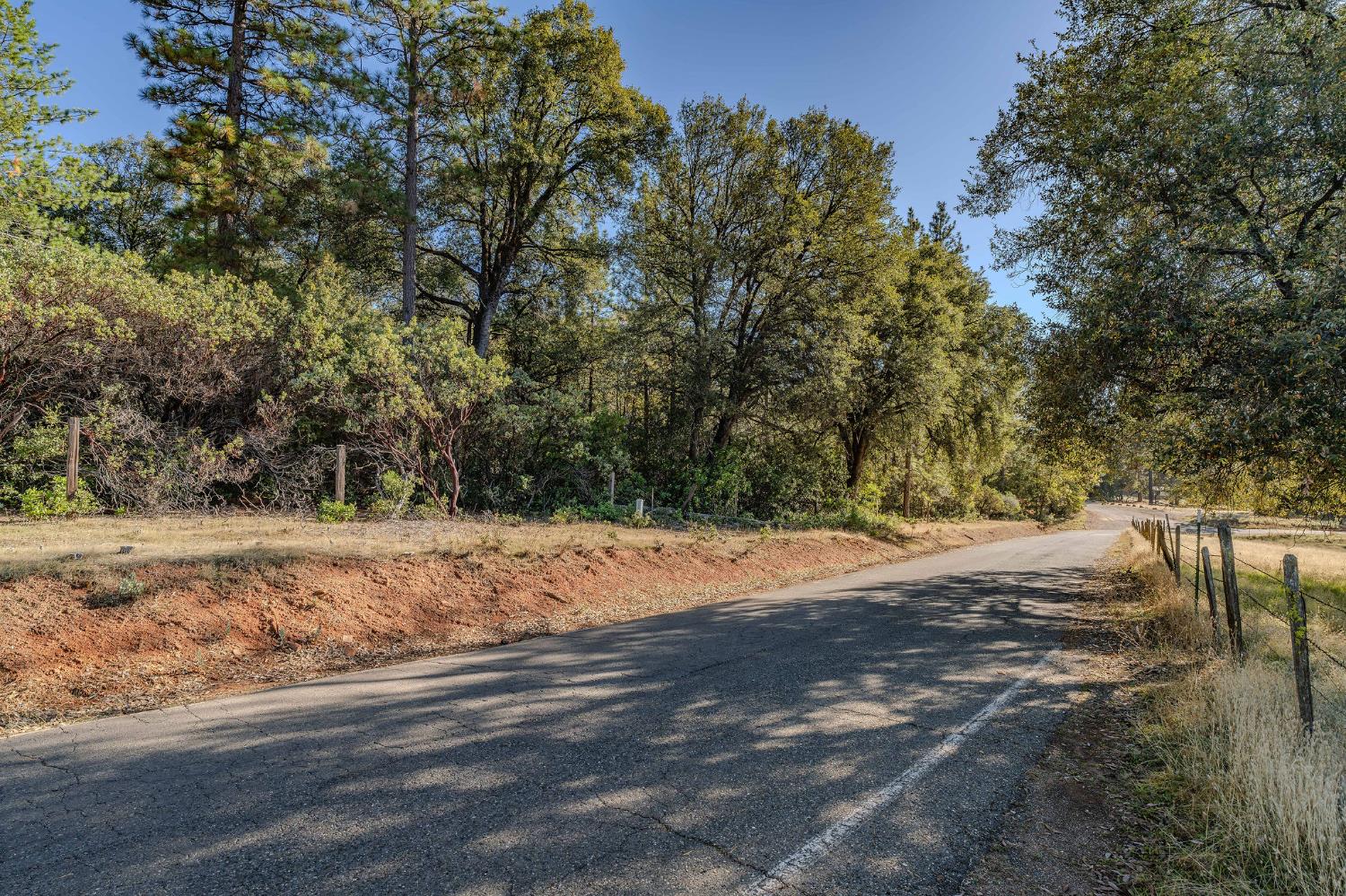 10500 Tabeaud Road Pine Grove, CA 95665 - Photo 8 of 30 a wooden bench with view of trees