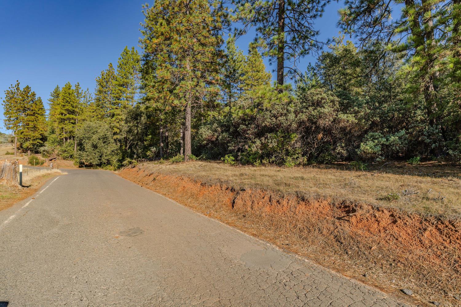 10500 Tabeaud Road Pine Grove, CA 95665 - Photo 9 of 30 a view of mountain view with trees