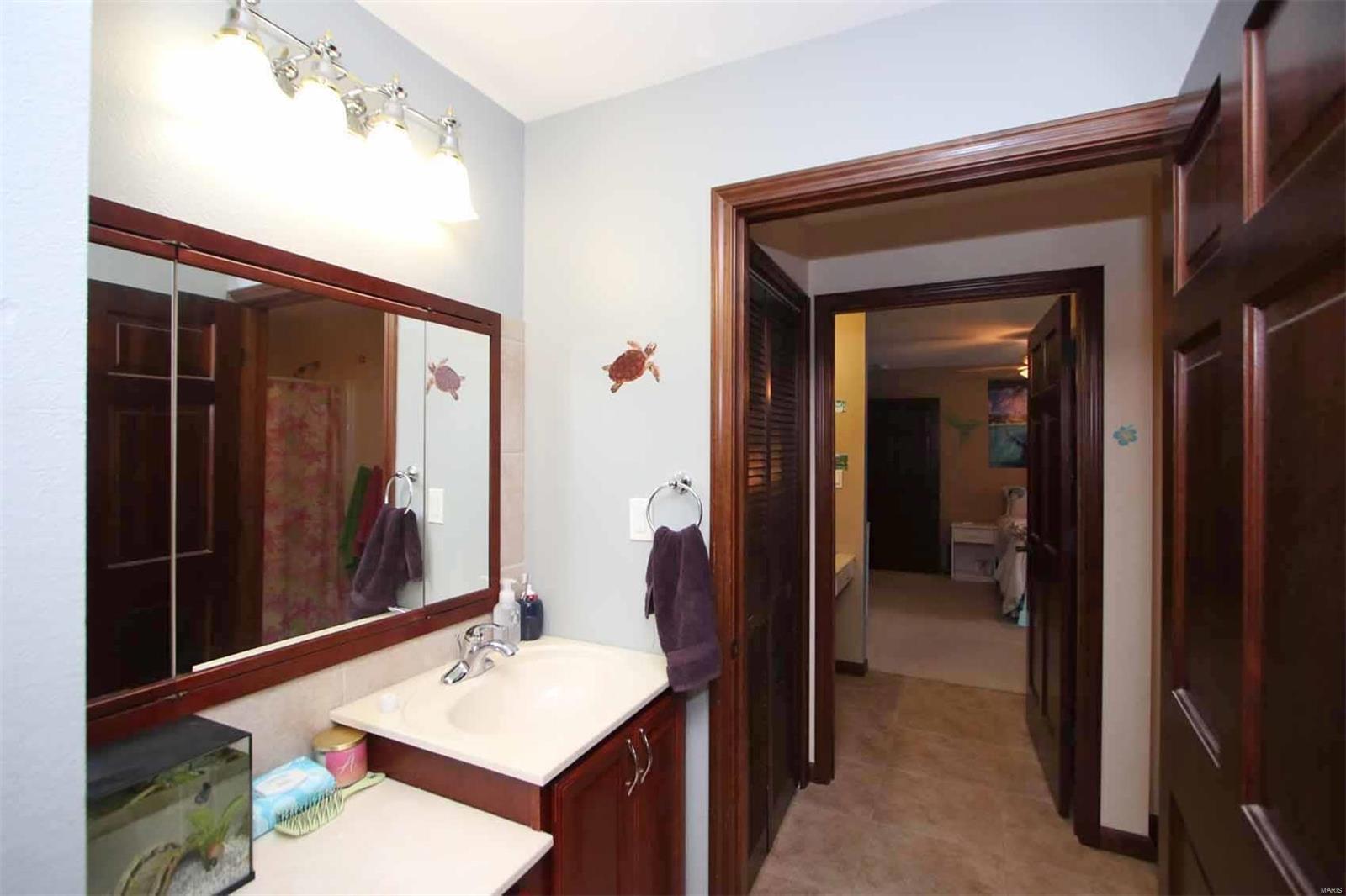 11743 Fruit Road Alhambra, IL 62001 - Photo 39 of 90