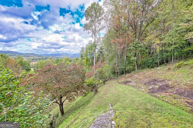a view of a city with lush green forest