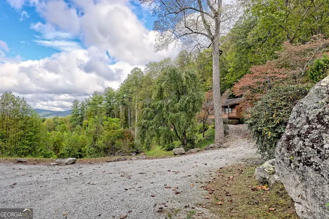 a view of a yard with plants and trees