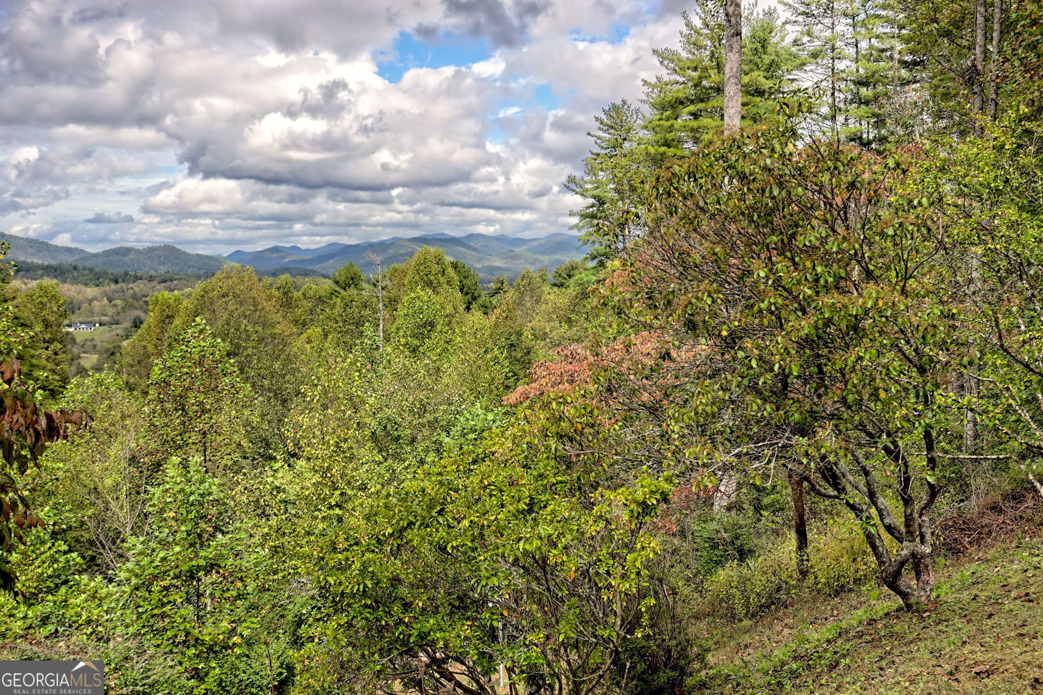 52 Lucky Lane Rabun Gap, GA 30568 - Photo 41 of 60