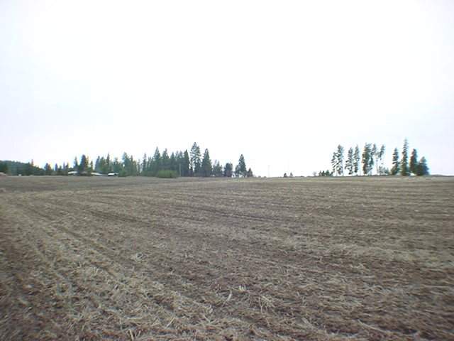 11811 South Hatch Road Spokane, WA 99224 - Photo 3 of 8