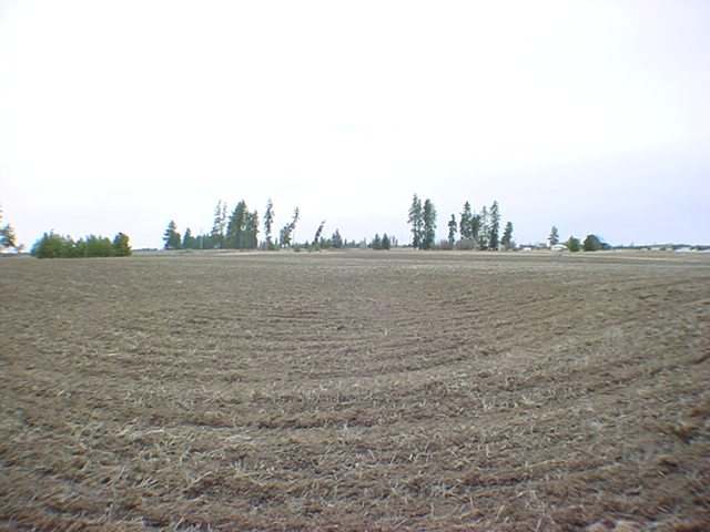 11811 South Hatch Road Spokane, WA 99224 - Photo 4 of 8