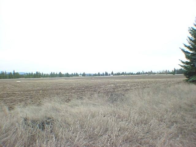 11811 South Hatch Road Spokane, WA 99224 - Photo 5 of 8