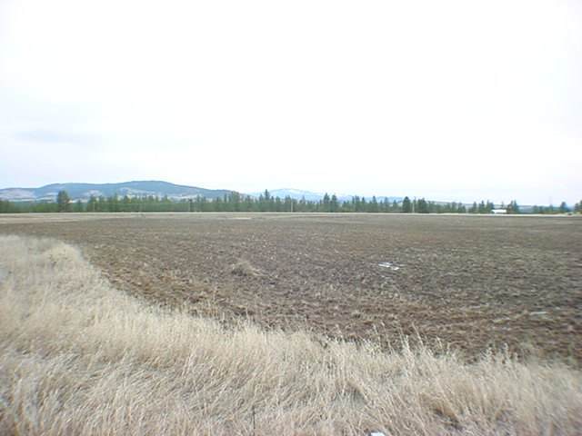 11811 South Hatch Road Spokane, WA 99224 - Photo 7 of 8