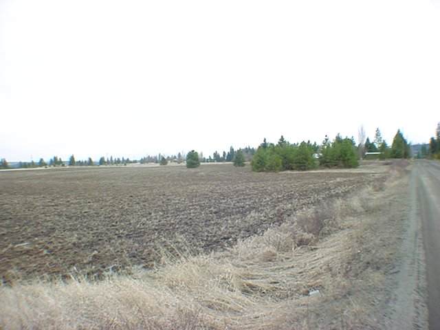 11811 South Hatch Road Spokane, WA 99224 - Photo 8 of 8