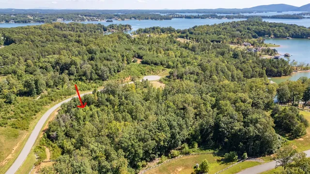 a view of a forest with a lake and mountain view